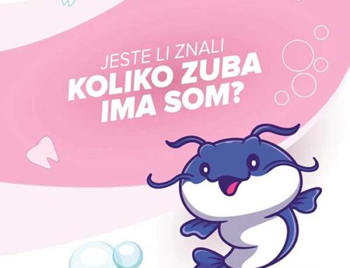 Jeste li znali koliko zuba ima SOM?