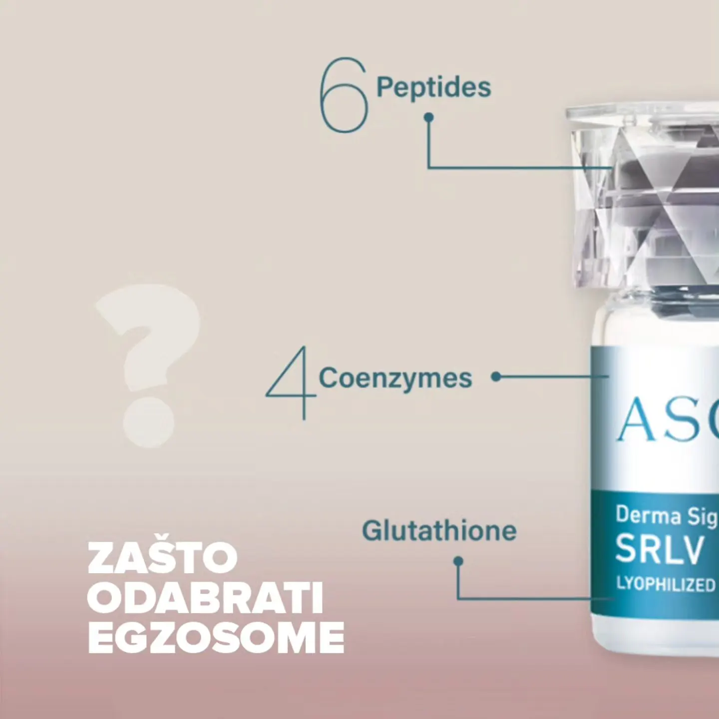 egzosom2